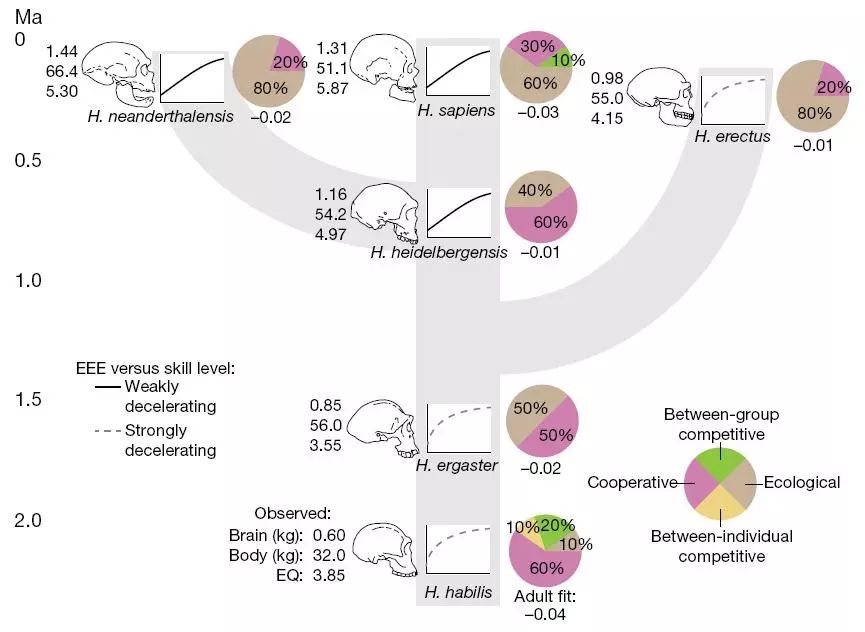 人脑越大越聪明,人脑为什么会有感情