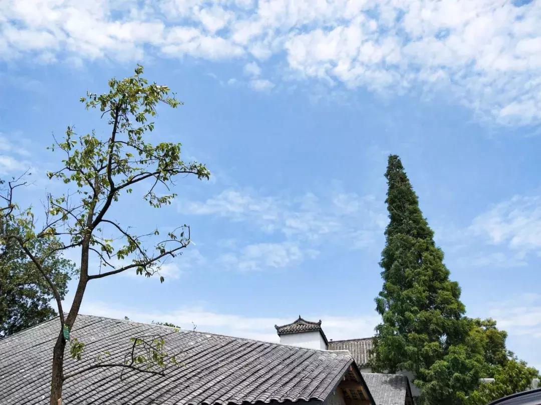 我去了成都向西50里的桃源村,朋友问我是不是去了日本?