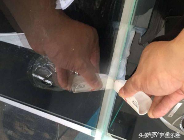 鱼缸爆裂预兆,鱼缸爆裂修复方法
