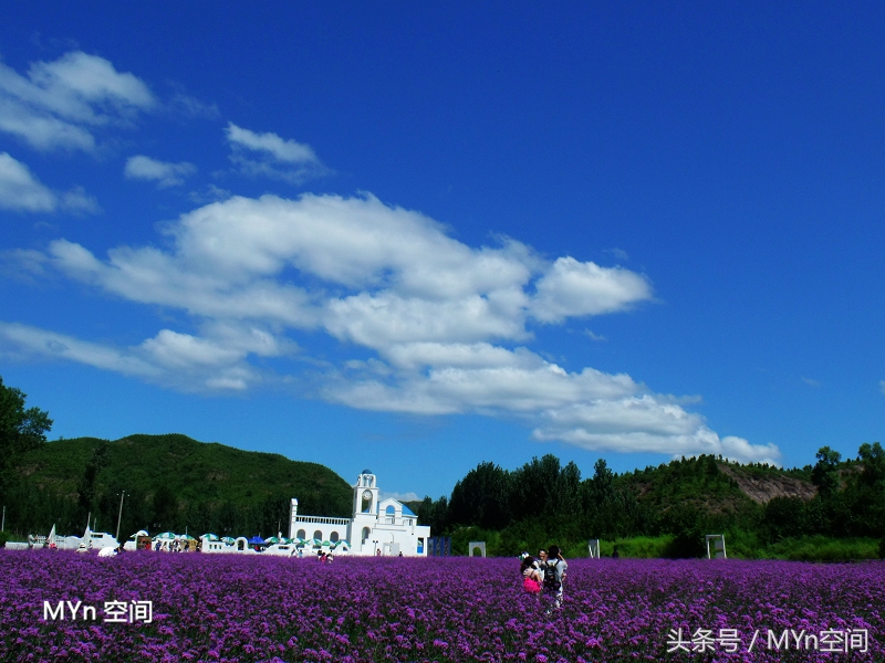 北京京郊游好去处,北京薰衣草庄园风景