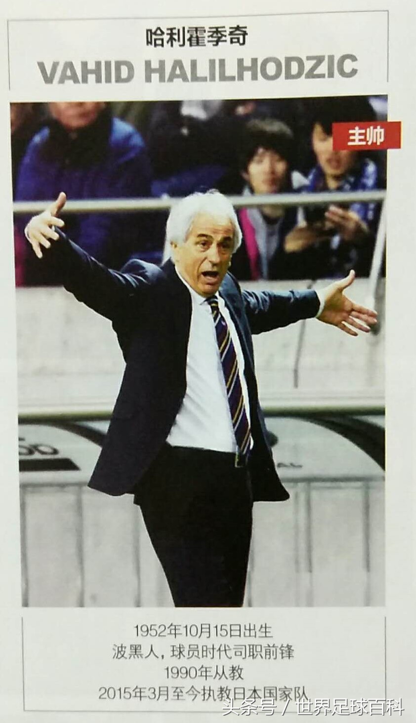 俄罗斯vs日本足球世界杯,奔向莫斯科世界杯