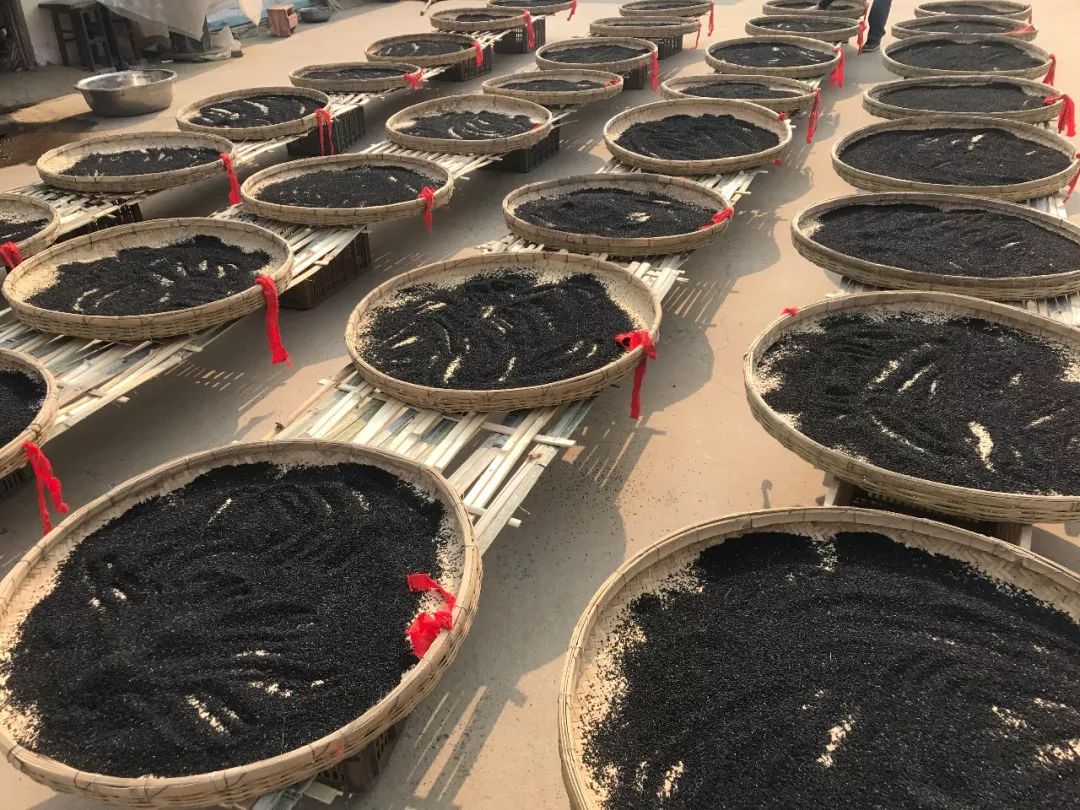 压力大掉头发吃点啥水果,压力大脱发吃b2还是b6好