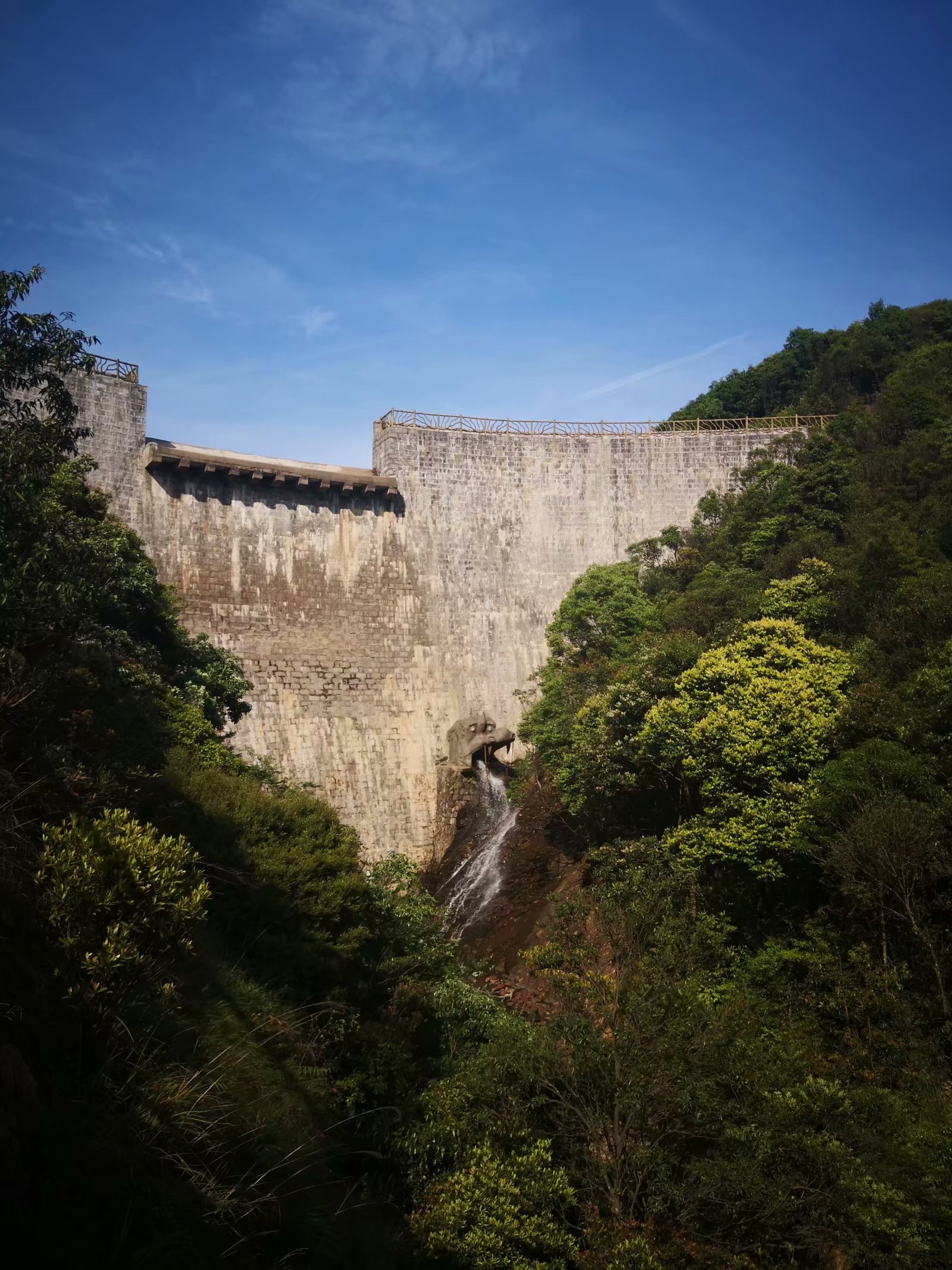 福建儿时的记忆山上的野果,福建山上秋天野果