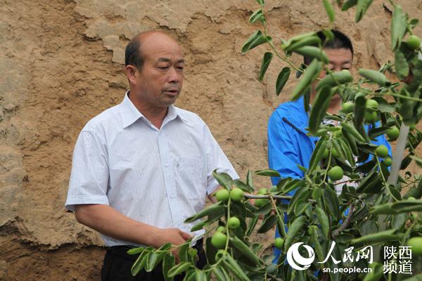 大荔县美丽乡村成果,大荔乡村振兴工作