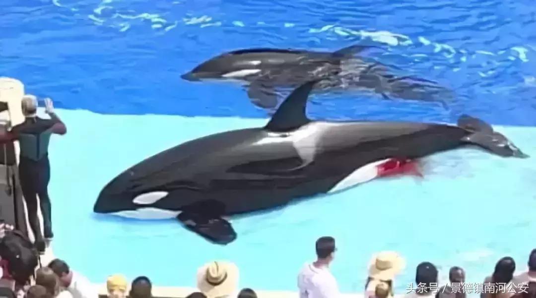 朋友圈里卖低价服装的真相,代购骗局揭秘朋友圈