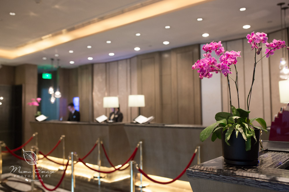 玩转恐龙园,中华恐龙园酒店套票