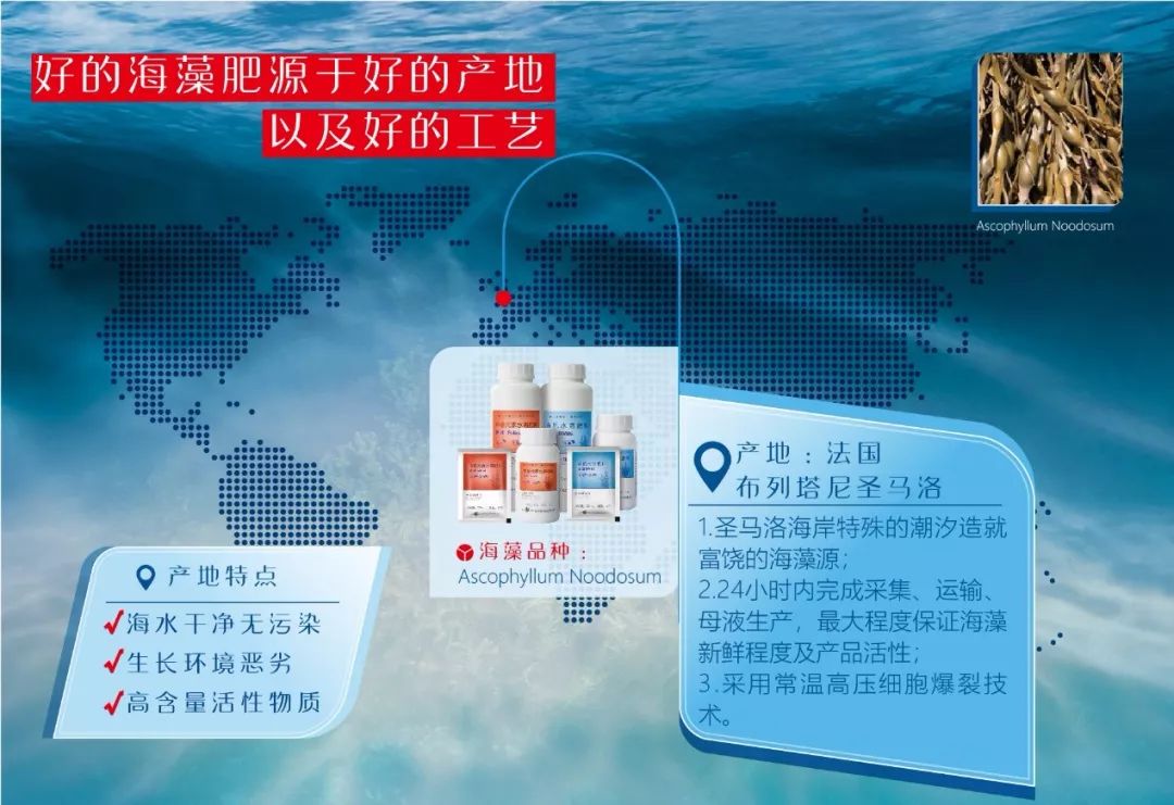 淇濊姳淇濇灉鑶ㄥぇ闃茶,閫熷缓鍔犲浐鏉愭枡