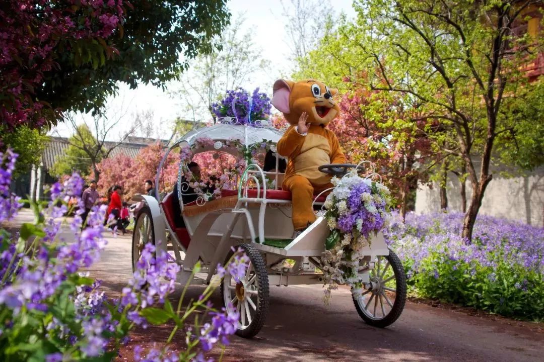 青岛台儿庄古城免费吗,五一台儿庄古城免票吗