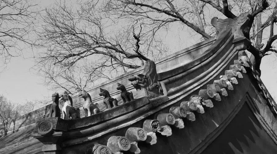 那些年倒背如流的话,那些年背过的文言文