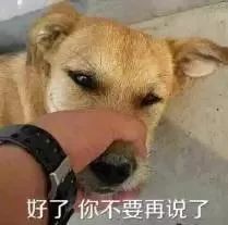 上海各区平均工资排行2024,上海市平均工资2024最新公布