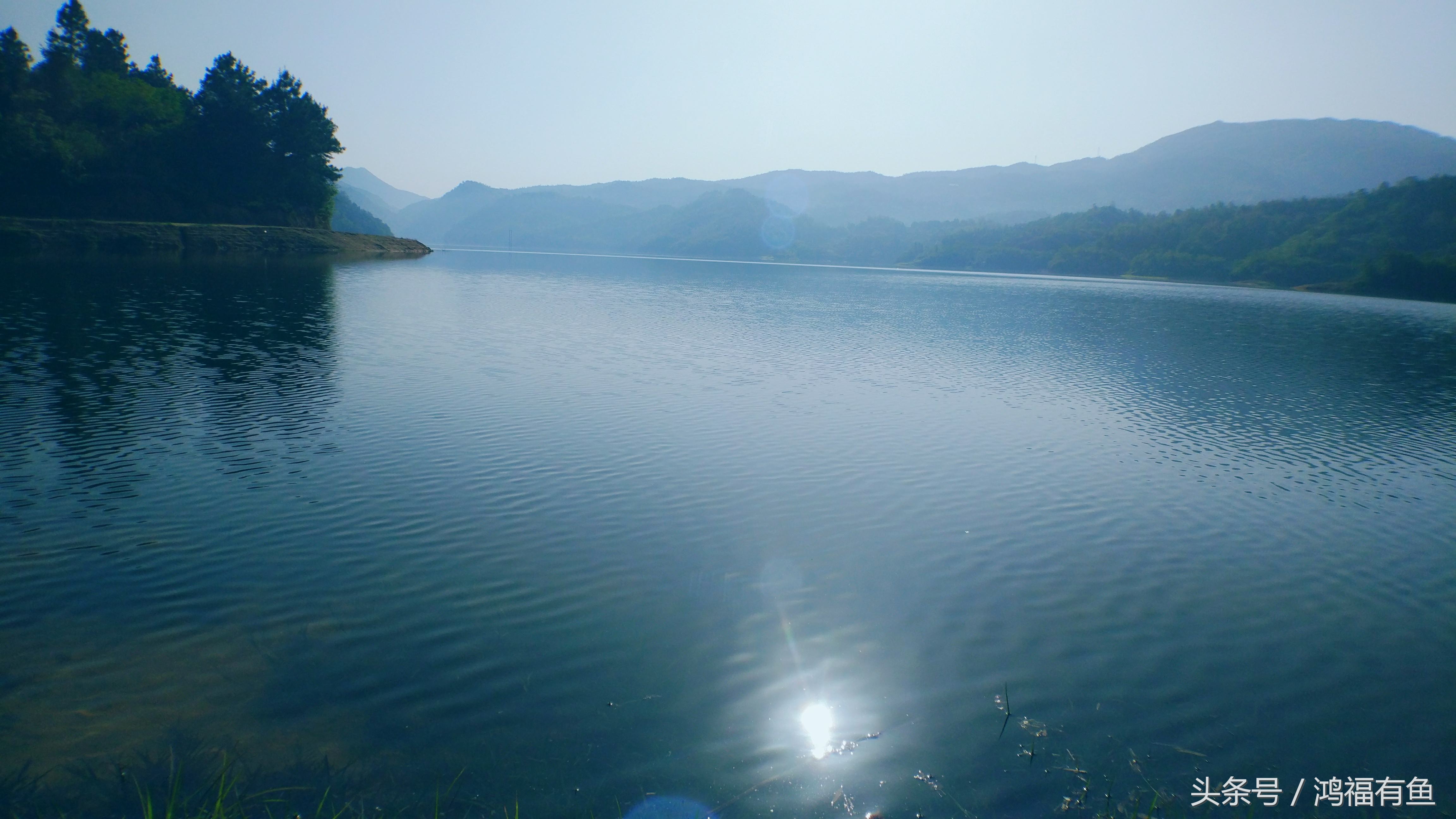 夏季钓草鱼最佳时间,这个季节用什么钓草鱼好