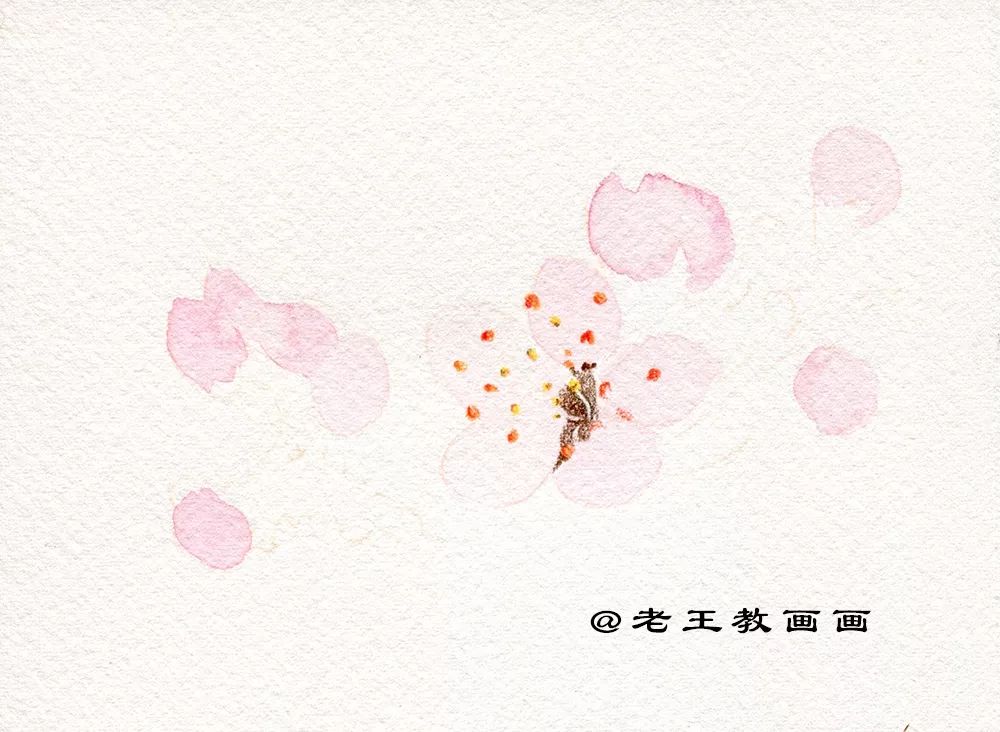 名师教你画桃花,崔老师教你画桃花