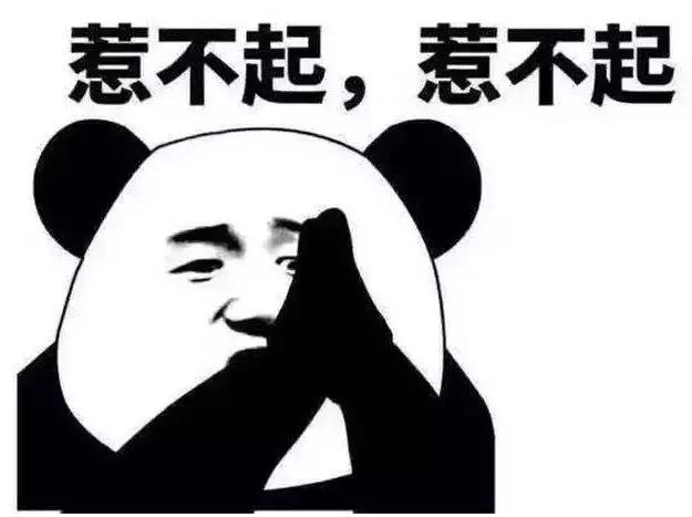 猫咪见到人就攻击,猫咪见到狗出现应激反应怎么办