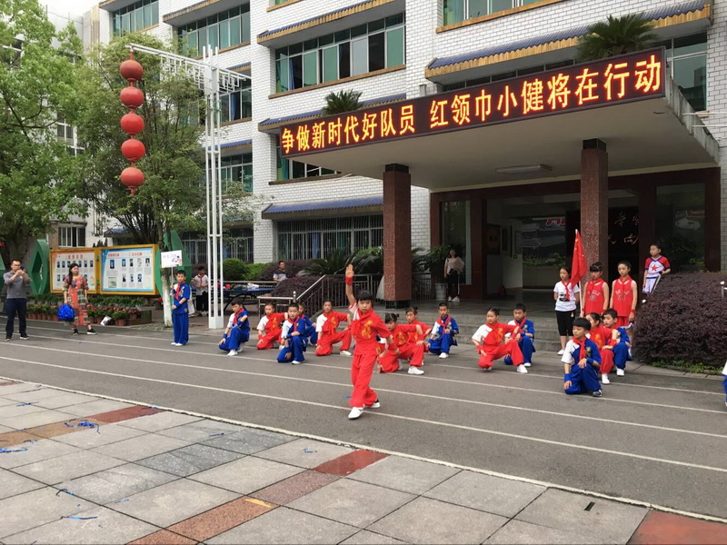 争做新时代好少年中队活动方案,争做新时代好队员红领巾活动案例