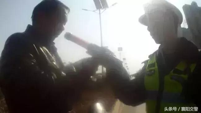 郑州交警抓醉猫,交警查车抓醉猫