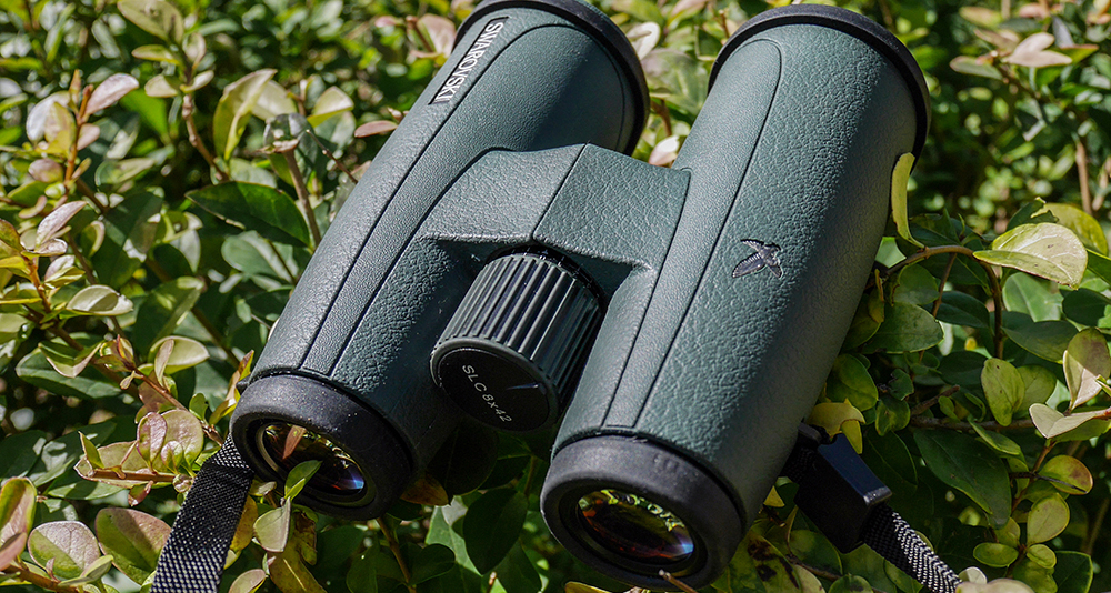 150元的施华洛世奇是真的吗,三百多块钱的施华洛世奇是真的吗