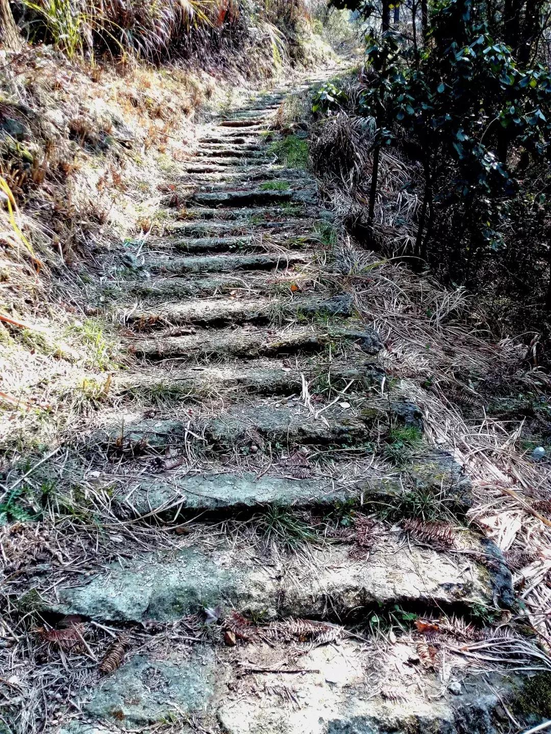 如何把照片拍得更好,你可以拍得更好的英文