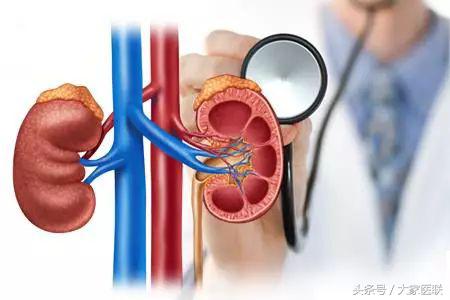 尿尿起泡泡是肾有问题吗,尿液起泡是什么原因