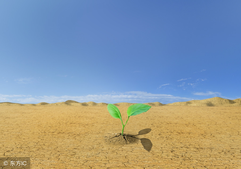 心理学：不曾被困难*倒打**的人，身上都有一种“黑色生命力”？