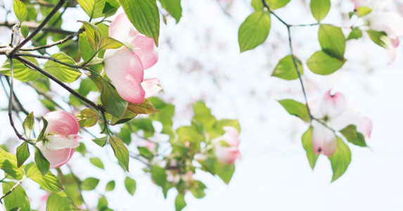 学弟是校园主持却找我纠正他朗诵发音，问原因他说：找机会亲近你