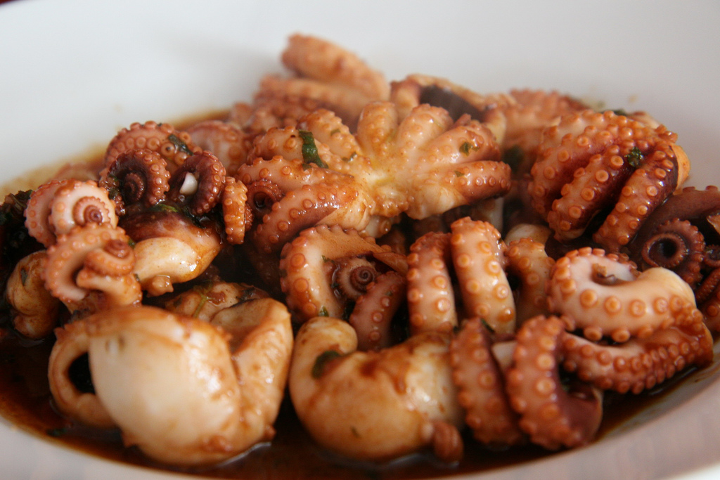 墨鱼乌贼章鱼和鱿鱼是一种动物吗,乌贼八爪章鱼和鱿鱼是同一种鱼吗