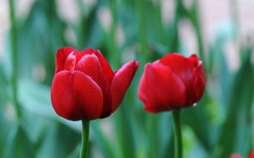 快50岁了，已经进入围绝经期，是否还需要注意避孕呢？