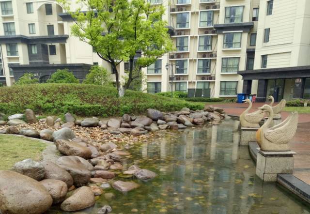 真心不被骗,在哪里可以租到高端公寓