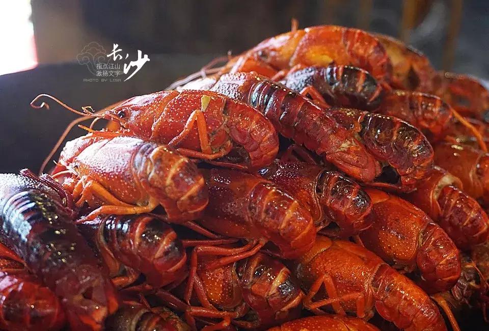 问苍茫大地谁主沉浮诗词,沁园春长沙问苍茫大地谁主沉浮