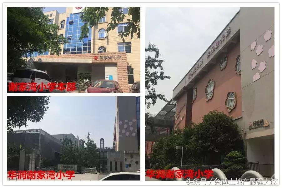 谢家湾小学到底怎么样,谢家湾小学优质二手房