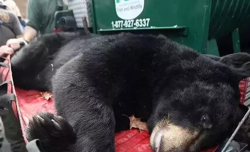 代购骗局揭秘朋友圈,揭露各种海外代购真相