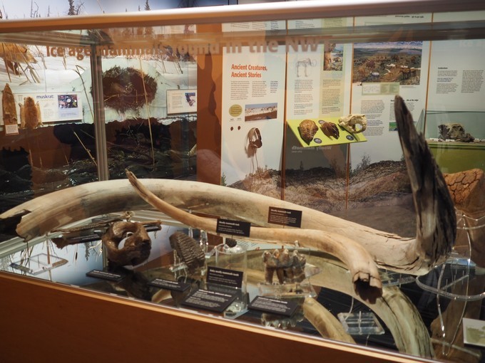 北欧旅游看极光,看极光去黑河还是漠河