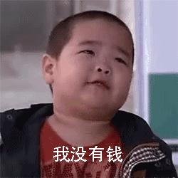 超级推荐的猫,推荐猫最爱吃的东西还很便宜