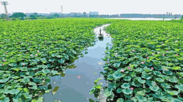 江湛铁路时刻表,江湛铁路线路图