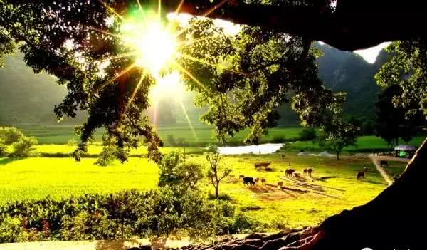 云南旅游景点哪最好玩,云南旅游有哪些主要景点好玩