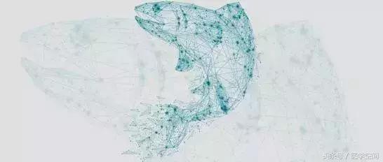 美国癌症协会公布九大防癌建议 (美国癌症协会公布9大防癌建议)