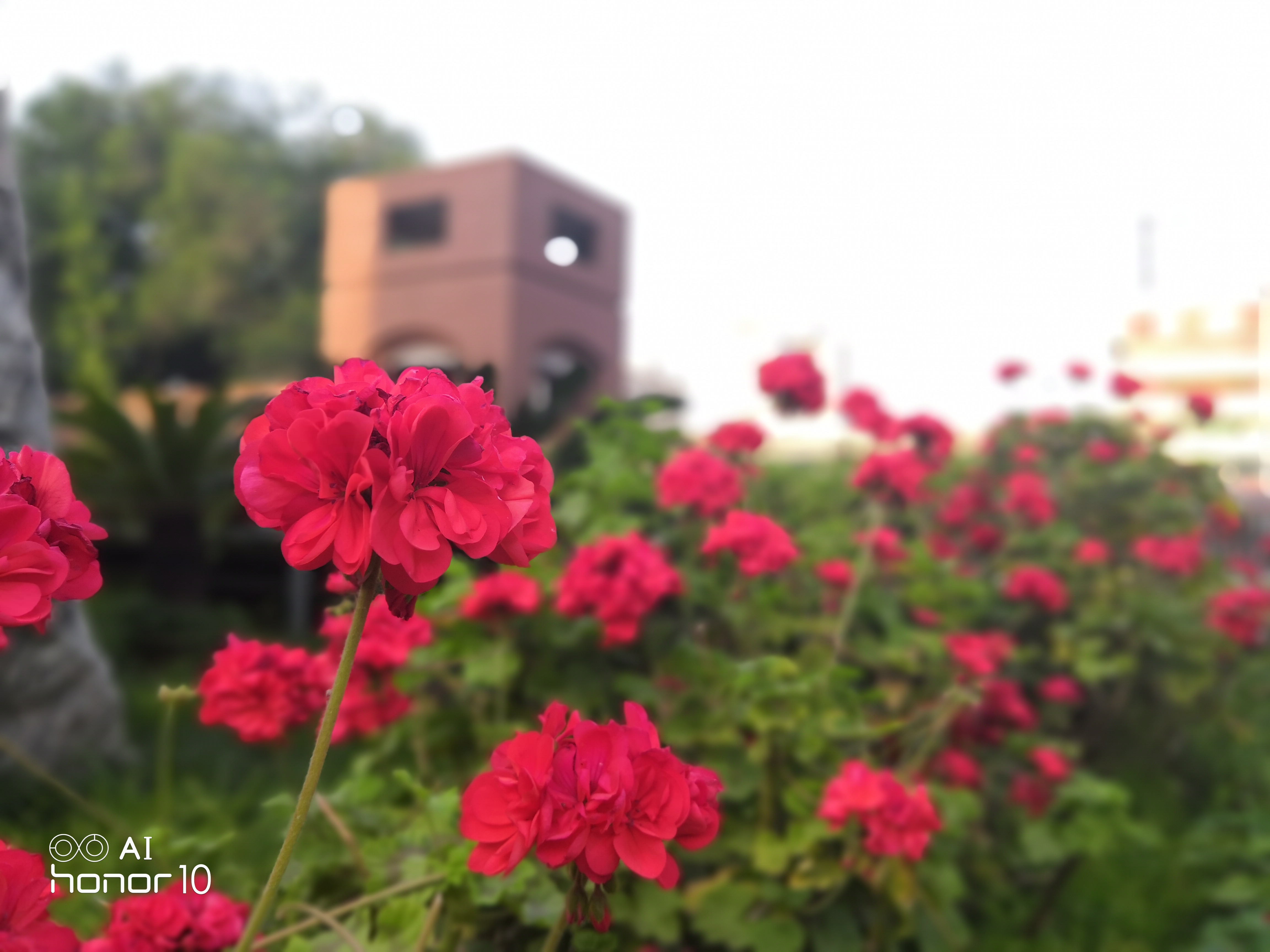 荣耀10拍照片怎么样,荣耀10值得买吗2019