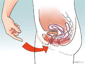 学习凯格尔运动，锻炼盆底肌肉张力