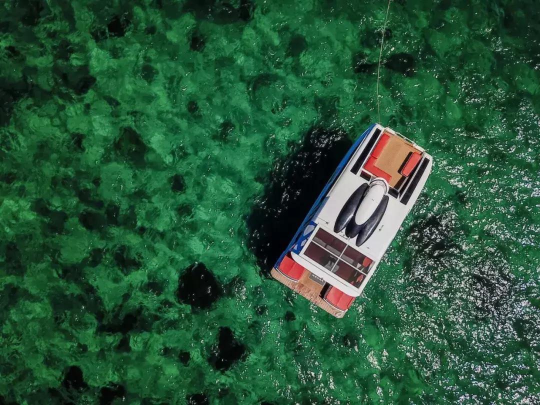 懒猫旅游服务商,懒猫旅行还在运营吗