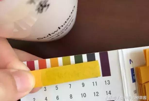 洗面奶到底哪款好用又实惠,哪款洗面奶好用又不贵