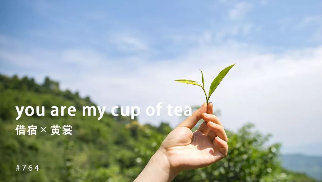 他卖掉所有家当回国创业，做洗护用品，竟引来网红民宿排队打call