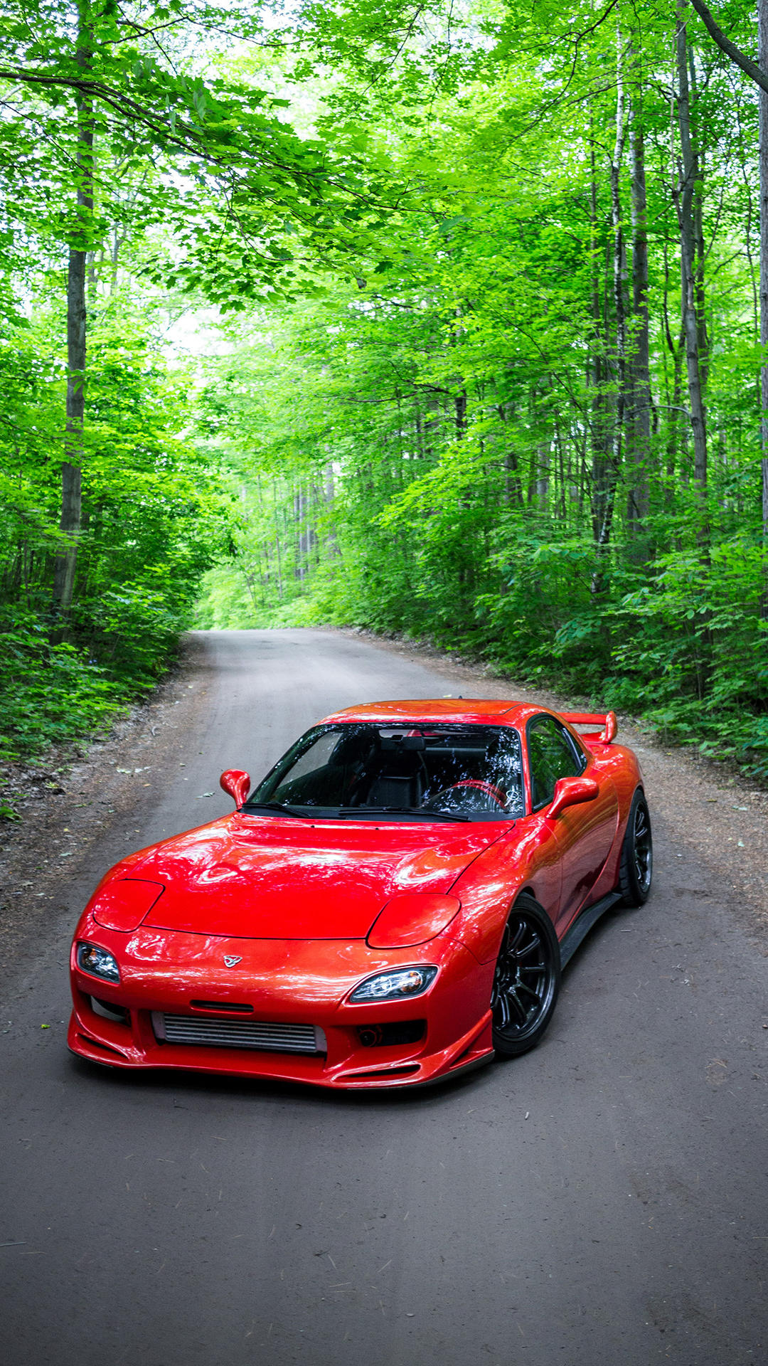 手机美丽壁纸,柔美如画的手机壁纸