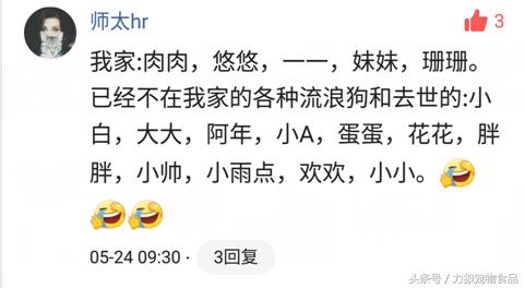 你给宠物起过哪些奇葩的名字？盘点那些让人印象深刻的宠物名字！