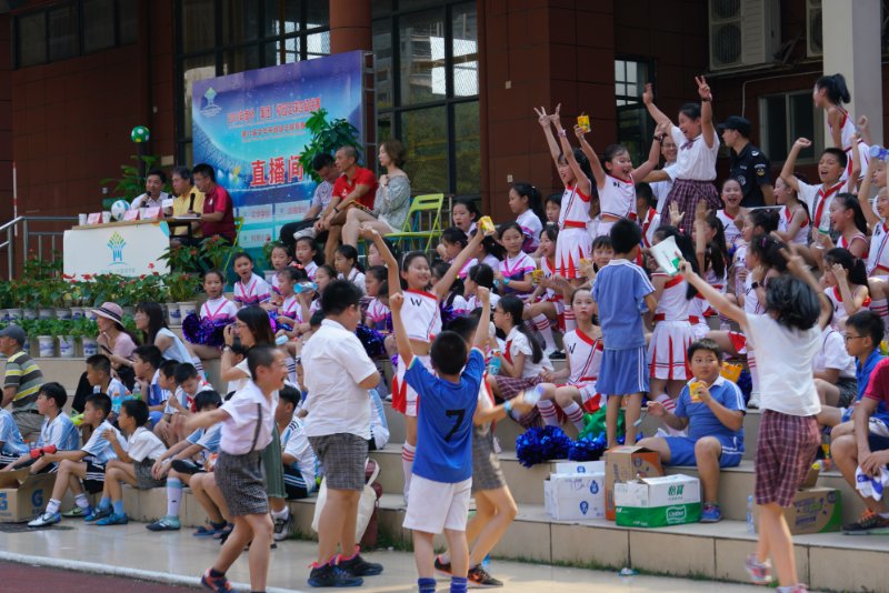 足球解说员张路的博客,名嘴张璐谈中国足球