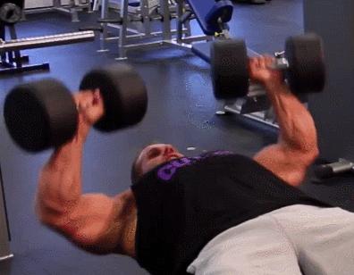 一对哑铃怎么练上肢力量,一对哑铃在家怎样练腿