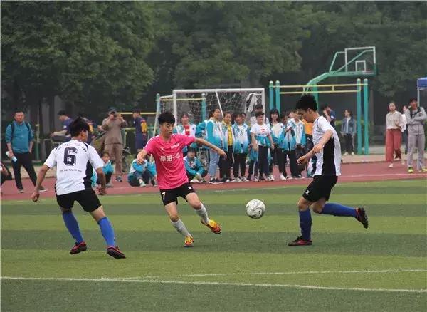 阜阳五中在哪个位置,阜阳五中属于什么档次