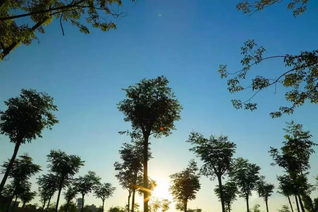 阜阳五中在哪个位置,阜阳五中属于什么档次