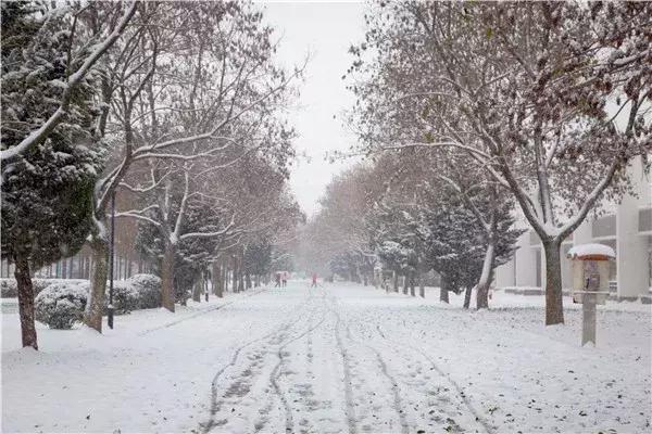 阜阳五中在哪个位置,阜阳五中属于什么档次