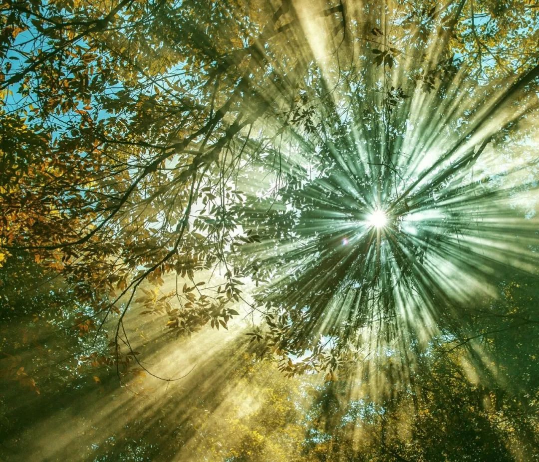 强光拍不出好照片？学会这几点一切皆有可能！