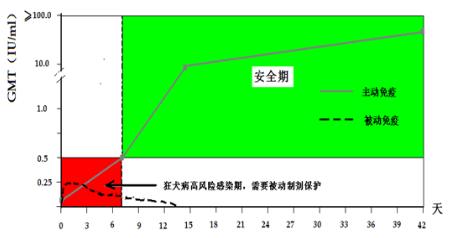 被狗猫抓伤要不要打疫苗,被家养的打过狂犬疫苗的猫抓伤