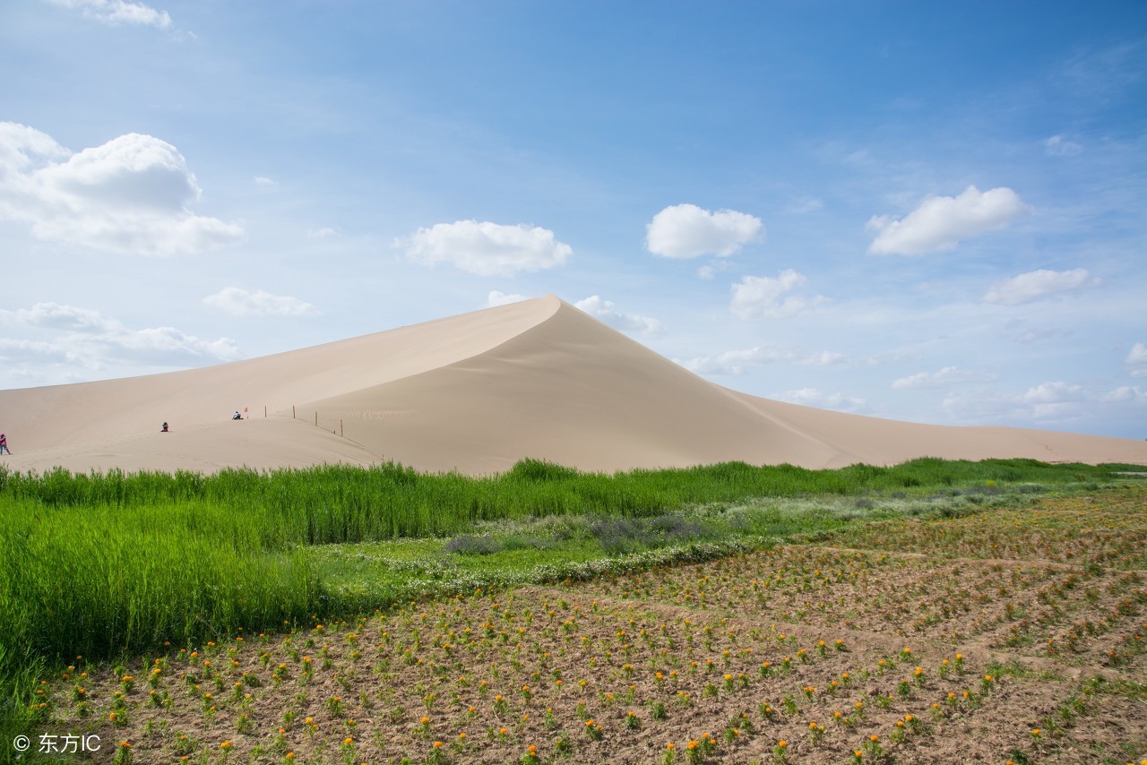土拨鼠体内含有的细菌有多可怕,土拨鼠致命细菌